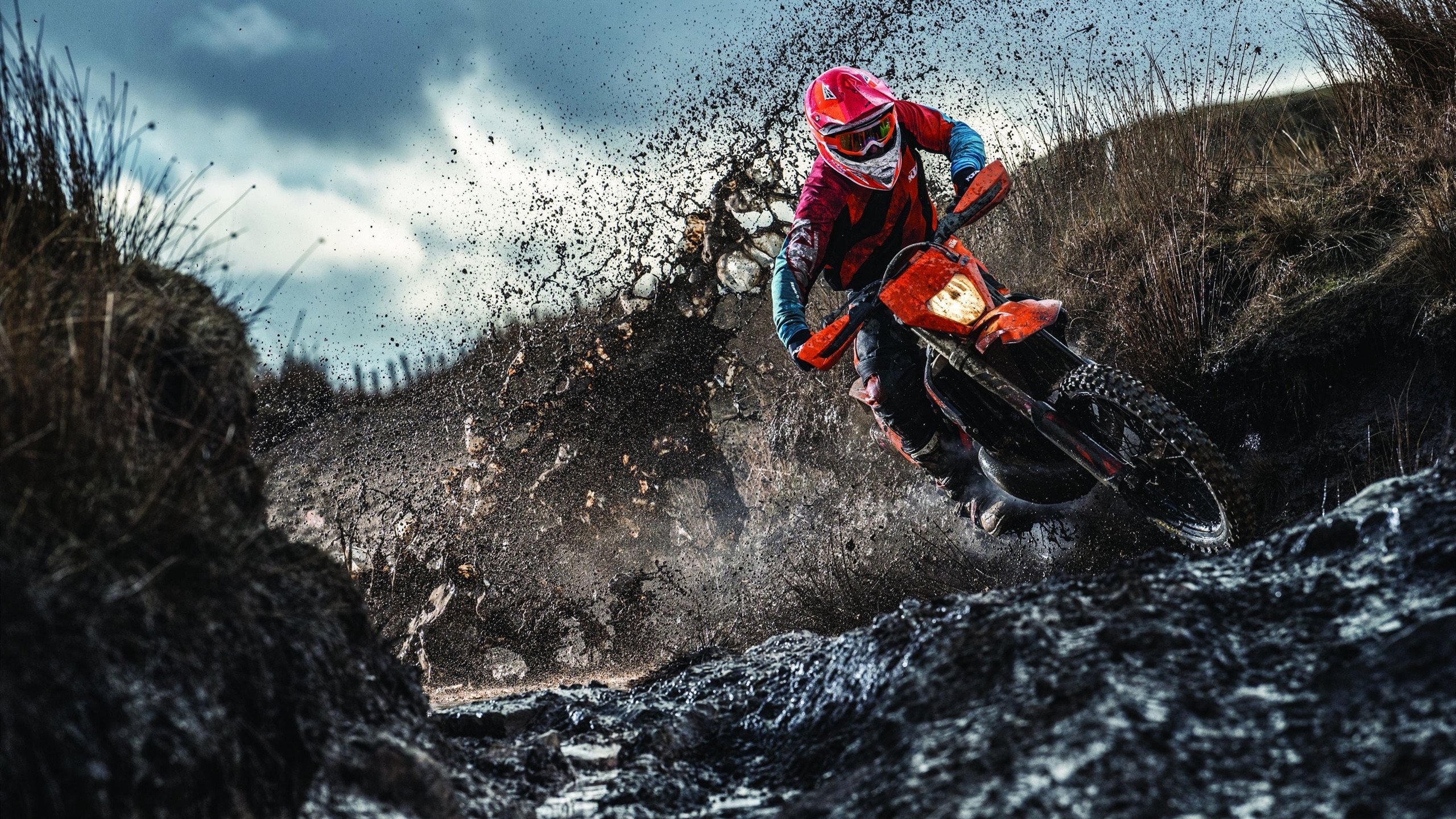 绿茵场上的乒乓传奇，法国队完胜波兰队，许昕刷新纪录的双重奏